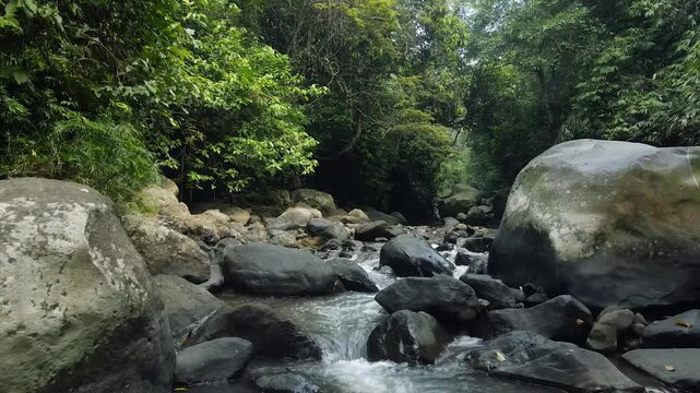 Beautiful 4K footage of a peaceful jungle river flowing over dark rocks in a lush green forest.