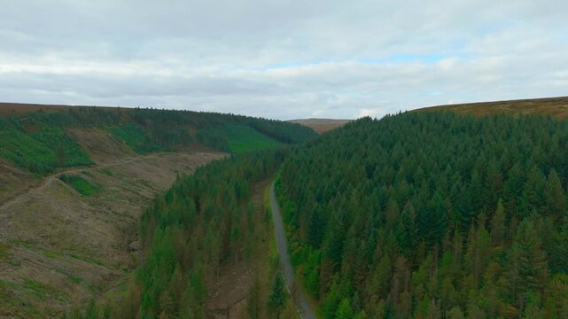 Beautiful mountain road winding through green forest valley. Calm scenic route curving along pine covered slopes. Peaceful countryside highway stretching between wooded hills. Tranquil mountain path