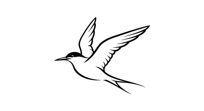 Minimalist black and white flying tern bird vector illustration