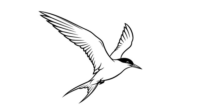 Minimalist black and white flying tern bird illustration