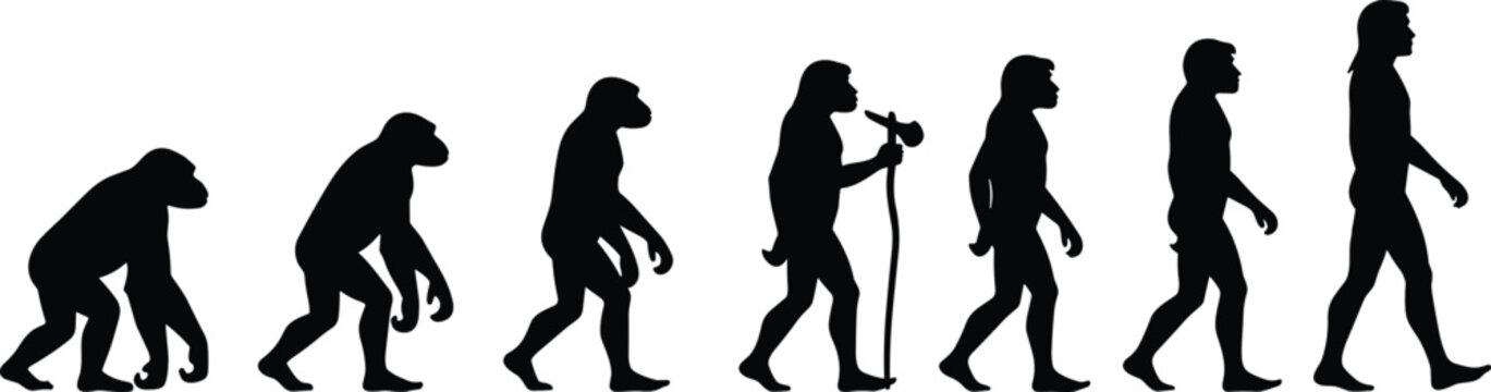 Human Evolution Silhouette Sequence from Ape to Modern Man Walking Progression Isolated on White Background Illustration