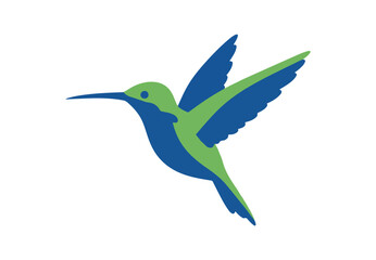Fototapeta premium A cartoon drawing of a hummingbird. It's a blue and green colibri bird. This is an isolated vector clip art illustration.