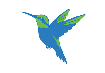 Fototapeta premium An easy cartoon sketch of a hummingbird. Featuring a blue and green colibri bird. It's a standalone vector clip art image.