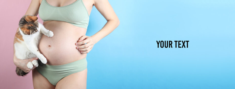 Pregnant woman in underwear with cute cat on blue pink background. Copy space for your text