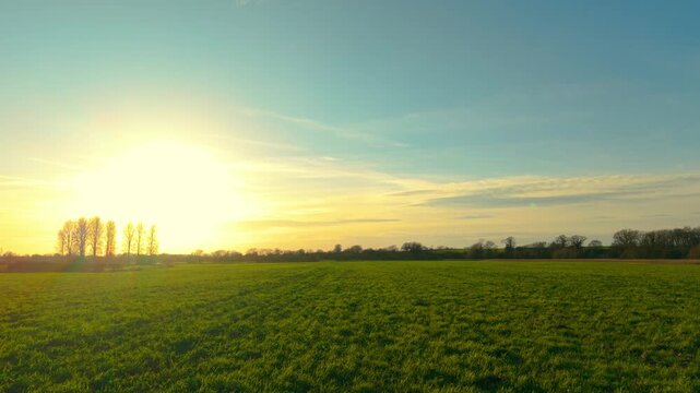 Golden sunset over green pasture meadow in rural agricultural countryside. Fodder grass field stretching across farmland used for livestock feeding and hay harvest. Agribusiness landscape with wide