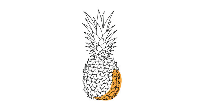 Minimalist line drawing of a tropical pineapple fruit with a subtle splash of orange color highlighting its unique textured skin and green crown.