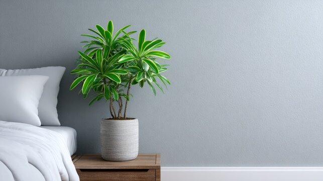 Lush indoor plant in decorative pot beside cozy bed in serene modern bedroom setting with soft colors and natural light