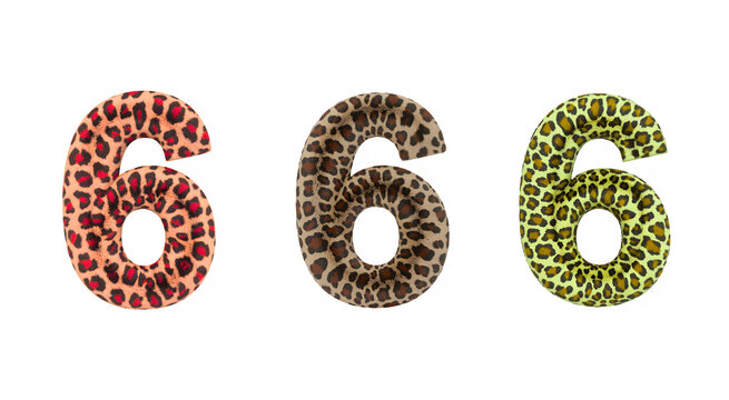 leopard number 6 with transparent background 