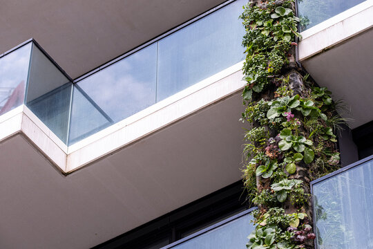 Balcony and facade of a modern urban building show vertical garden greenery where plants layer architecture lines and natural city texture