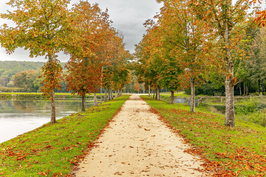 The autumn leaves.