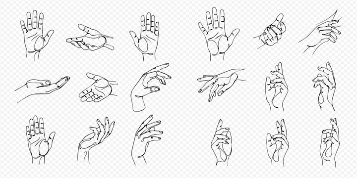 Continuous line drawing of various hand gestures and positions, minimalist art style, set of human hands.