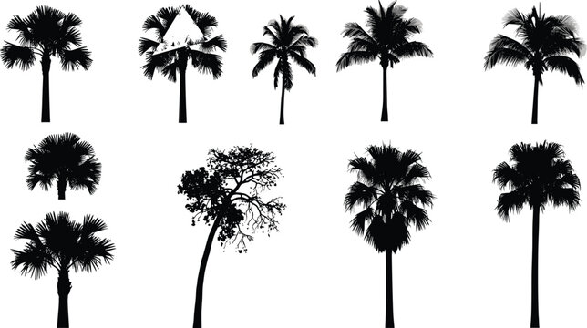 Palm tree silhouettes set of tropical flora elements for summer vacation landscape and beach travel posters art.