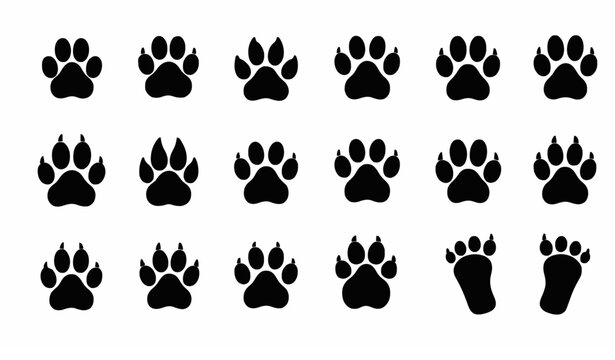 Paw print vector icon set with dog and cat footprint animal track symbols