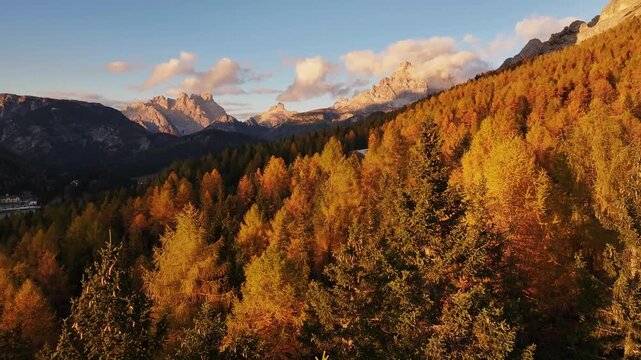Scenic aerial view of fiery autumn colours in an alpine forest. Drone view of the Dolomites in the fall, Cortina d Ampezzo valley in autumn