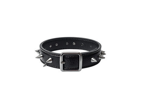 A dog collar on a white background.