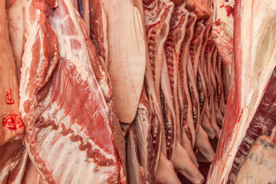 Carne macellata in cella frigo