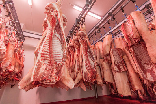 Carne macellata in cella frigo