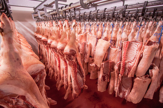 Carne macellata in cella frigo