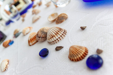 Conchiglie decorazione tavola imbandita © Piergiorgio Greco