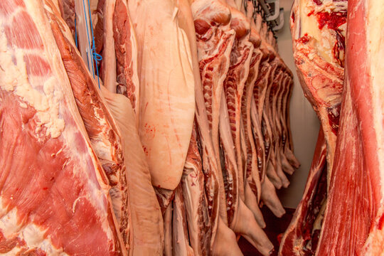 Carne in cella frigo