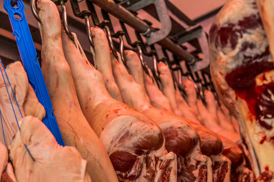 Carne in cella frigo