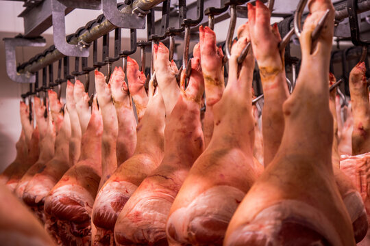 Carne in cella frigo