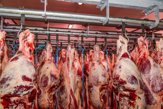 Carne in cella frigo