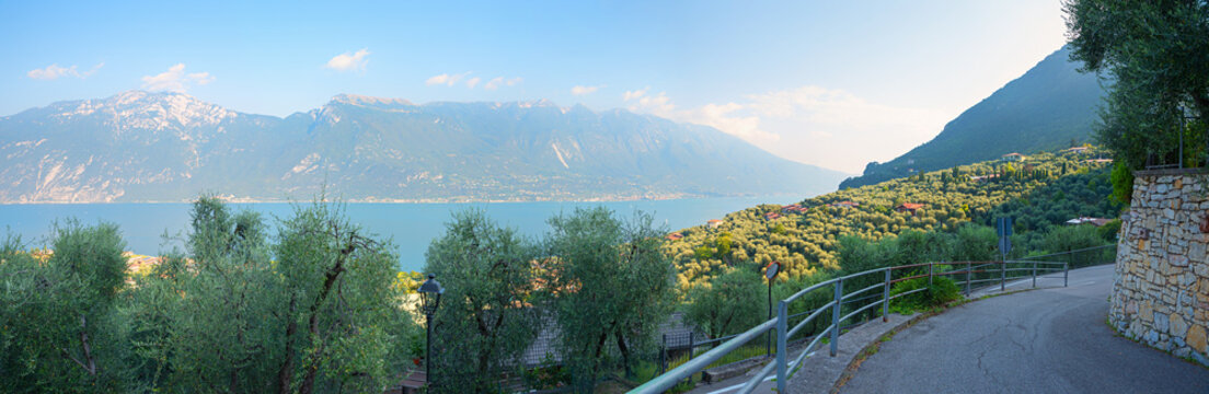 panorama road above lake Gardasee, view over olive groves to the mountains, italy