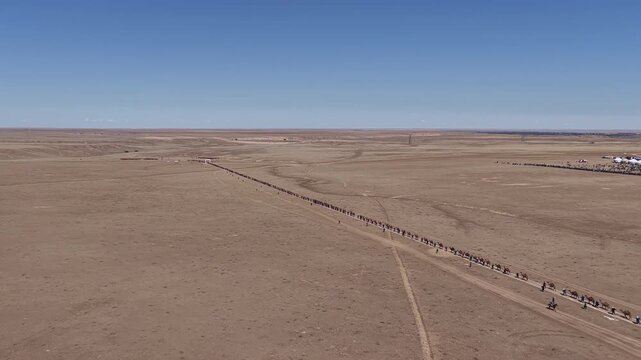 Long camel caravan traversing a gobi desert landscape