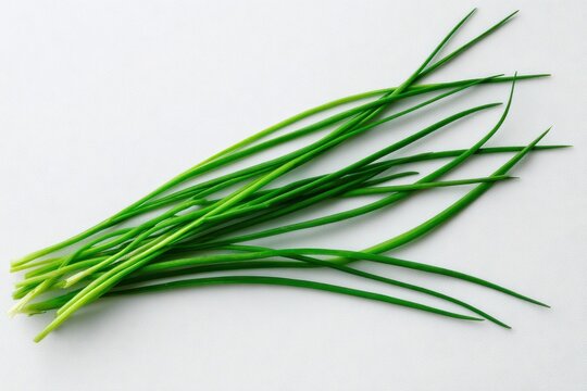 Close-up of fresh garlic chives with crisp green stalks on white backdrop