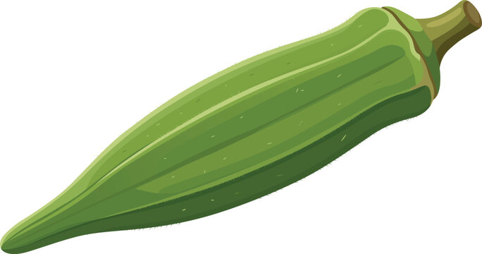 Fresh Okra Pod Bhindi Vegetable Design