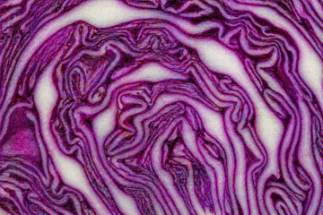 Obraz premium Red cabbage cross section abstract organic pattern vegetable texture
