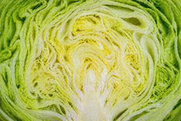 Obraz premium Lettuce cross section layered organic pattern vegetable macro texture