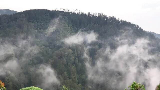 A beautiful landscape of a dark stormy sky and white fog veiling a waterfall among green forest trees