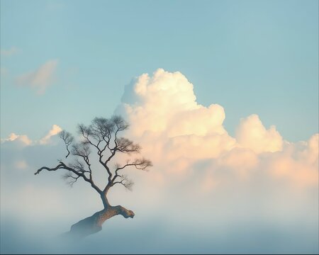 Solitary tree emerging from sea of clouds with dramatic sky background