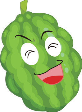 hand drawn bitter gourd