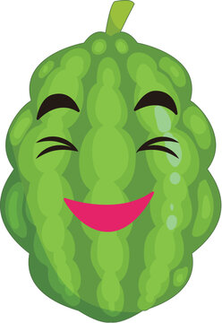 hand drawn bitter gourd