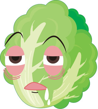hand drawn lettuce
