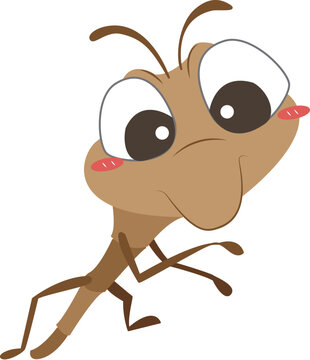 Brown stick insect
