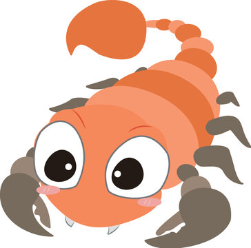 Orange scorpion