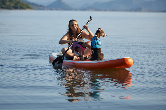 dogs and woman lose balance and fall from a board into the lake. The splash breaks the calm surface of the water.