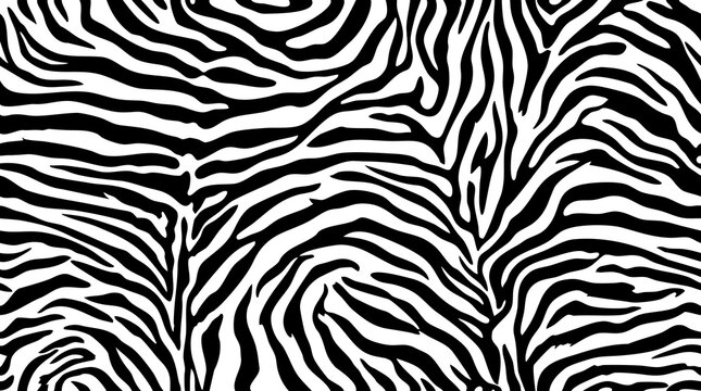 Zebra stripes pattern black and white animal print background