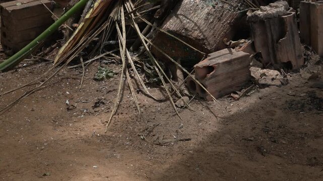 A pile of debris consisting of logs, leaves, and broken bricks sits under partial sunlight. Ideal for environmental documentaries or urban decay themes.