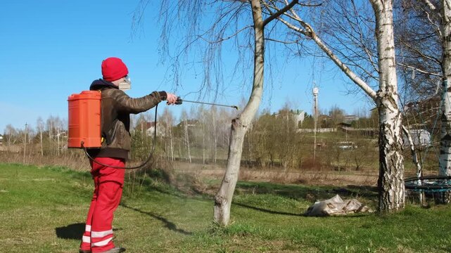 Worker spraying pesticide on a backyard for pest control, close-up, handles bushes. Gardening care work season. Early spring treatment of fruit trees, fungicide. Protecting the garden from diseases 4K