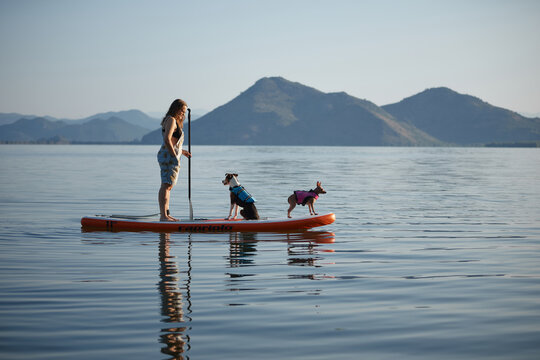A woman rides a board with two dogs on flat water. The calm scene includes full reflections of the group and background.