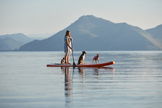 Two dogs stand beside a woman on the lake. The composition shows symmetry and calm waters.