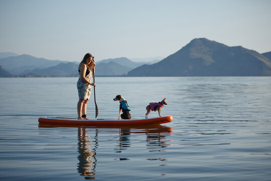 A woman stands still on a board with her two dogs in open water. The reflection of the group and surrounding hills completes the peaceful scene.