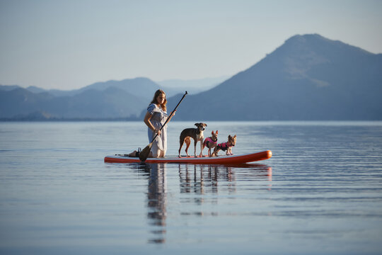 A man rides a board with three dogs on a mirror-like lake. The quiet setting captures a moment of companionship and movement.