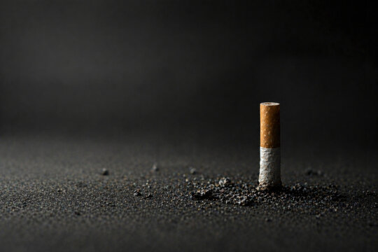 a cigarette butt on a dark surface