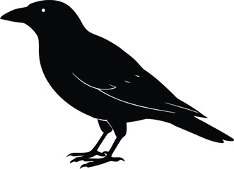 Fototapeta premium Crow Raven Bird Silhouette Vector Illustration Graphic